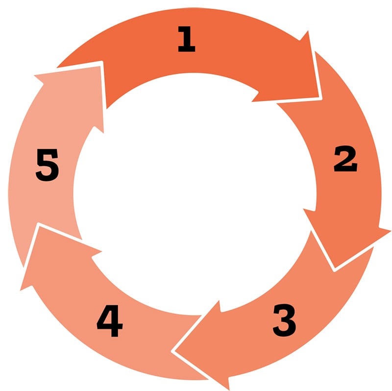 Search Cycle Graphic